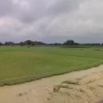 e74b2360-4fe7-40b8-a066-5d2e1ee0db6d-1760345900834-c1e376c0-large