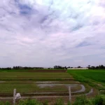 f6a9861c-42ff-4eef-8199-5081ed513808-1769688675293-60018f05-large